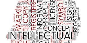 Allg. Immaterialgüterrecht